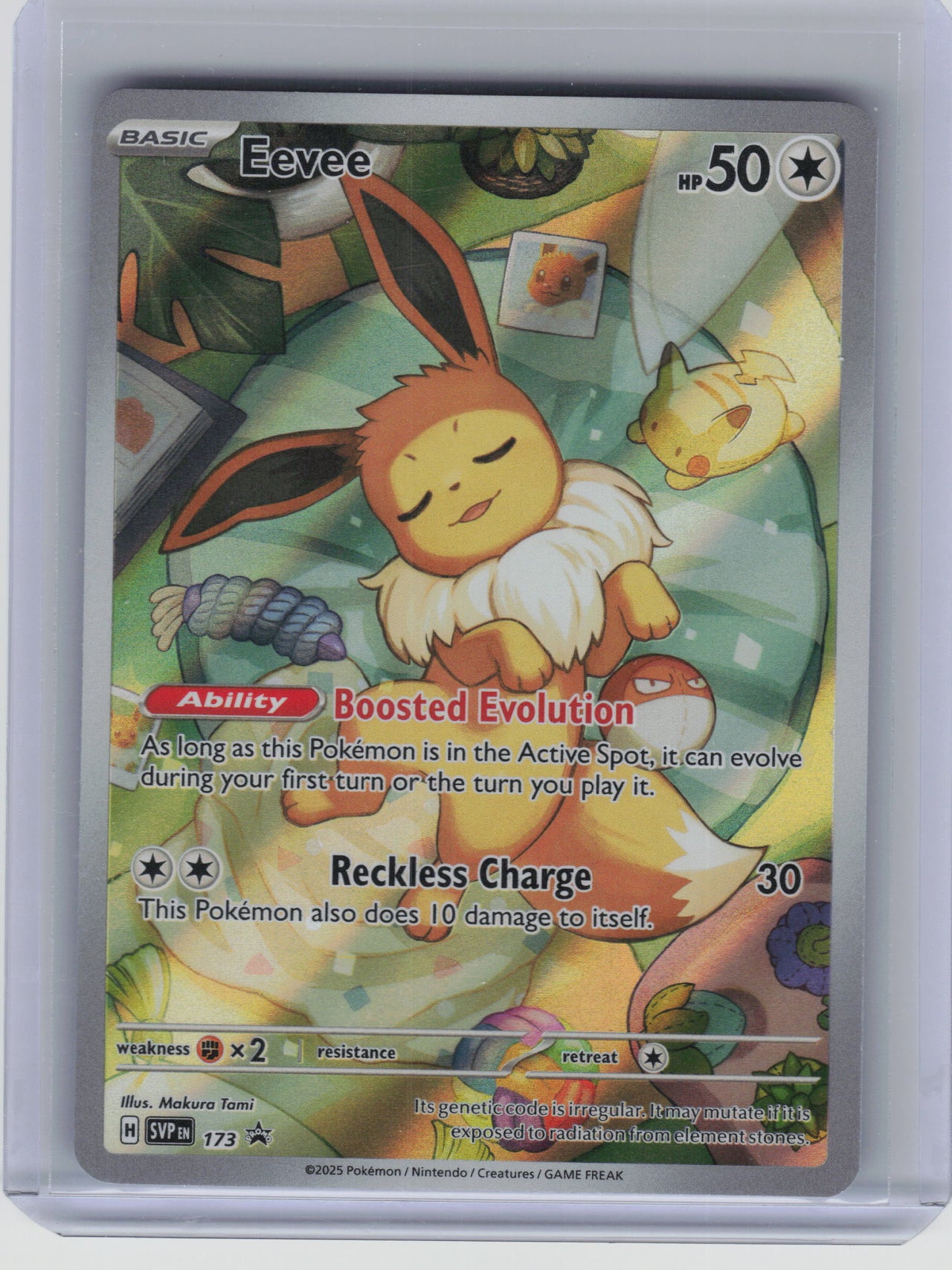 SV: Scarlet & Violet Promo Cards #173 Eevee