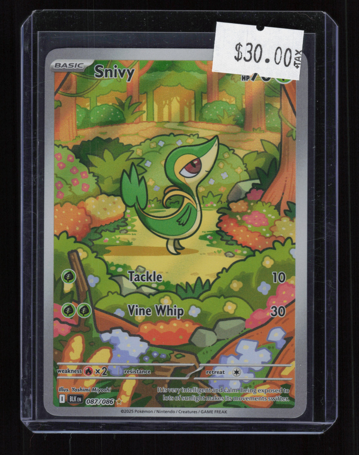 SV: Black Bolt #087/086 Snivy